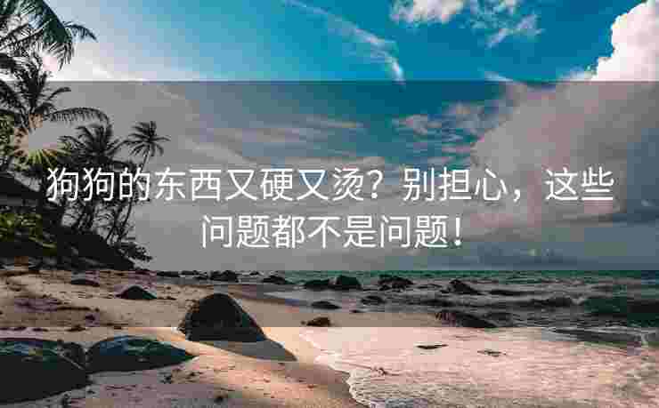 狗狗的东西又硬又烫？别担心，这些问题都不是问题！
