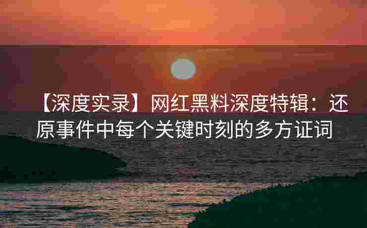 【深度实录】网红黑料深度特辑：还原事件中每个关键时刻的多方证词